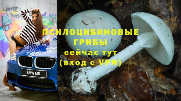 ешки Касимов