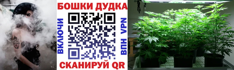 Конопля MAZAR  Купить закладки  Сегежа 